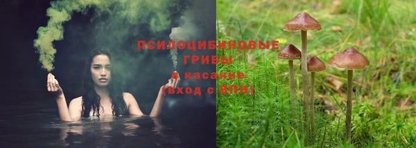 ГАЛЛЮЦИНОГЕННЫЕ ГРИБЫ Каменногорск
