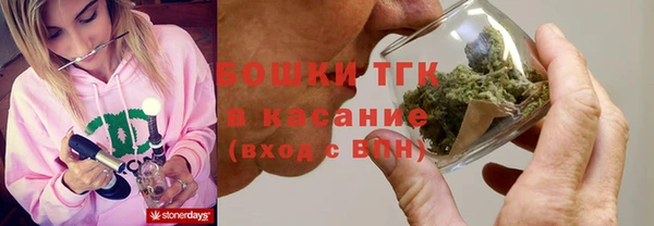 первитин Каменка