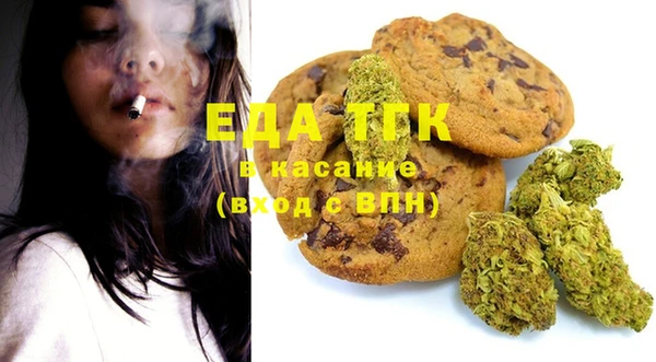 первитин Каменка