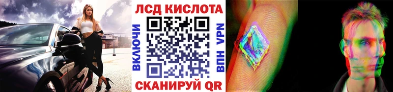 Купить закладки  Елизово  Наркотические марки 1,8мг 